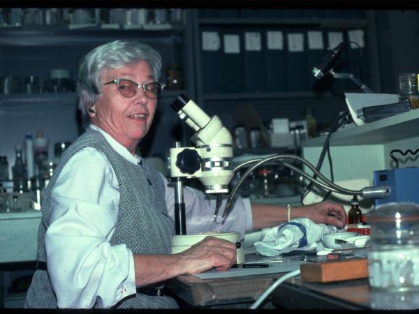 Marian Pettibone with short grey hair and glasses sits at a lab bench in front of a microscope. There are files and specimen bottle on shelves behind her. 