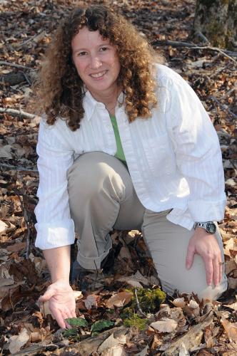 Melissa McCormick kneels to point out a native orchid on the forest floor