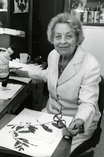 Regina Hughes sitting at a desk with a microscope and an herbarium specimen