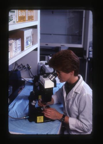Dr. JoGayle Howard uses a microscope