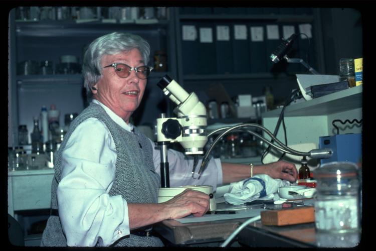 Marian Pettibone with short grey hair and glasses sits at a lab bench in front of a microscope. There are files and specimen bottle on shelves behind her. 