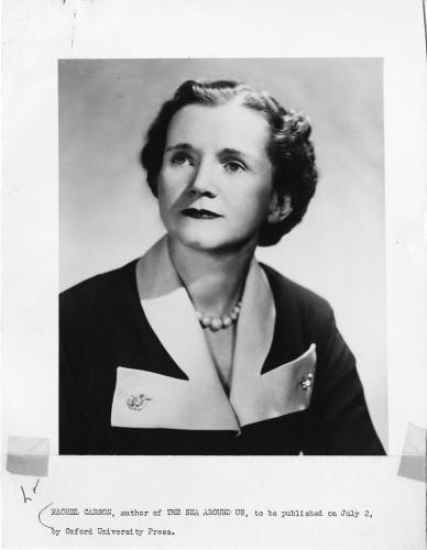 Rachel Carson stares off-camera. She does not smile.